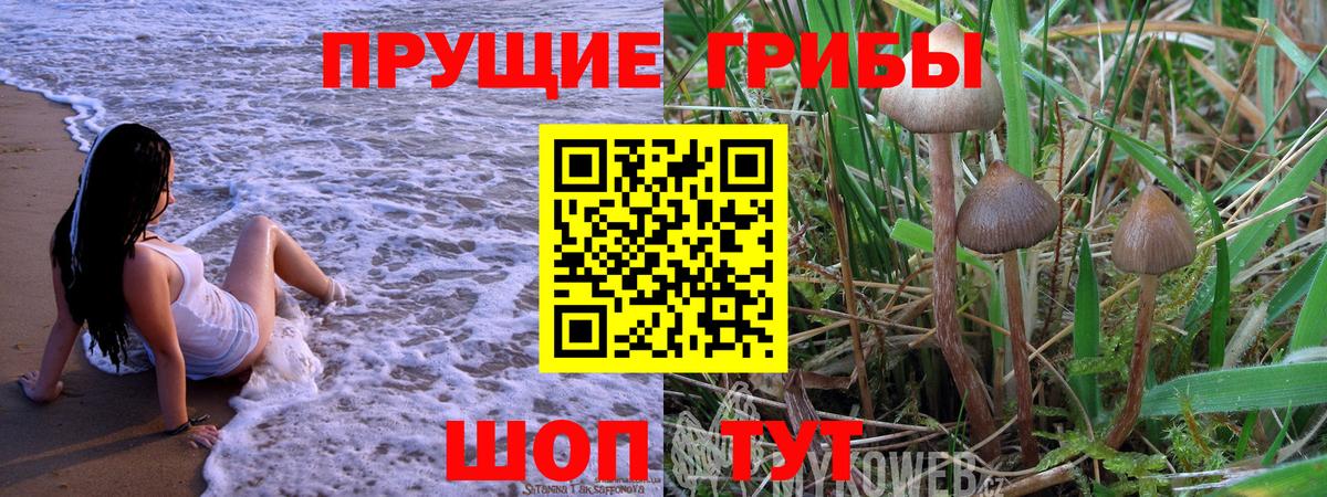 Псилоцибиновые грибы Magic Shrooms  Вход с VPN  Псилоцибиновые грибы Cubensis  Кисловодск 